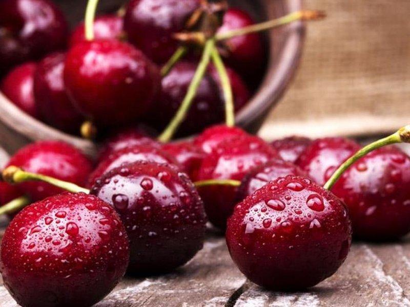 Вишня купить саженцы из питомника в Кропоткине